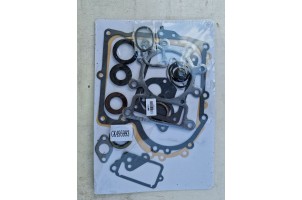 Briggs&Stratton  Набір прокладок 495993