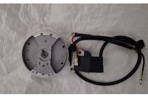 Обприскувач Катушка запалювання з маховиком обприскувач 1Е46FP