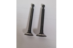 139f Клапана комлект мотокоса 4т китай