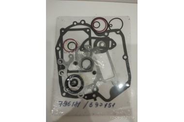 Briggs&Stratton Набір прокладок  двигун 796181/697151/796187